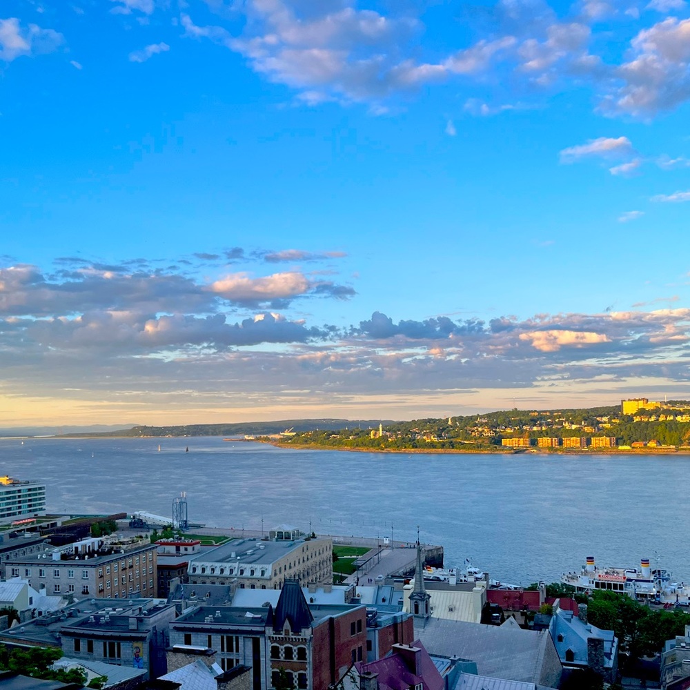 Meet your Posher, Evy